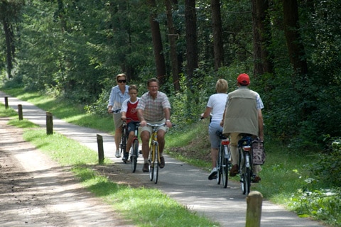 אטרקציות המתאימות למשפחות