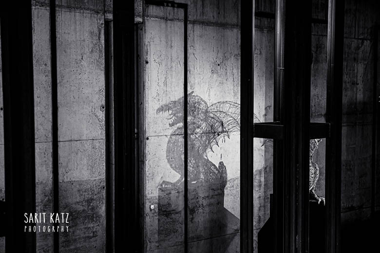 תמונה בשחור לבן בלובליאנה, עיר הבירה של סלובניה