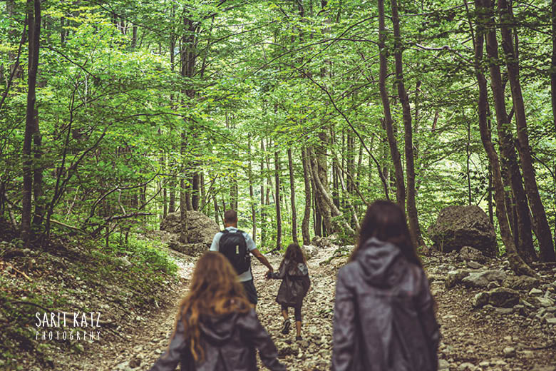 מטיילים ביער בסלובניה