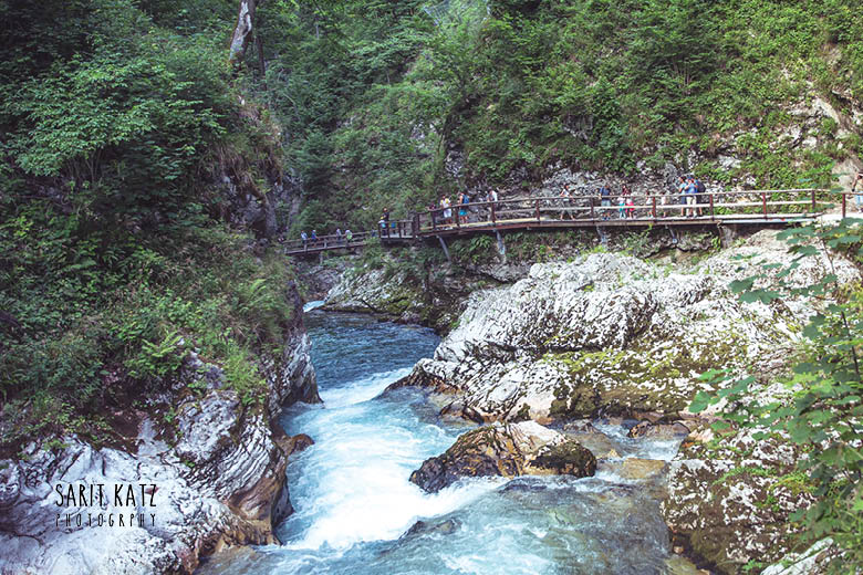 חוצים גשר וינטגאר בסלובניה