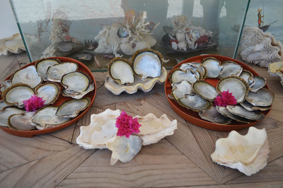 חוות הפנינים השחורות באי Praslin