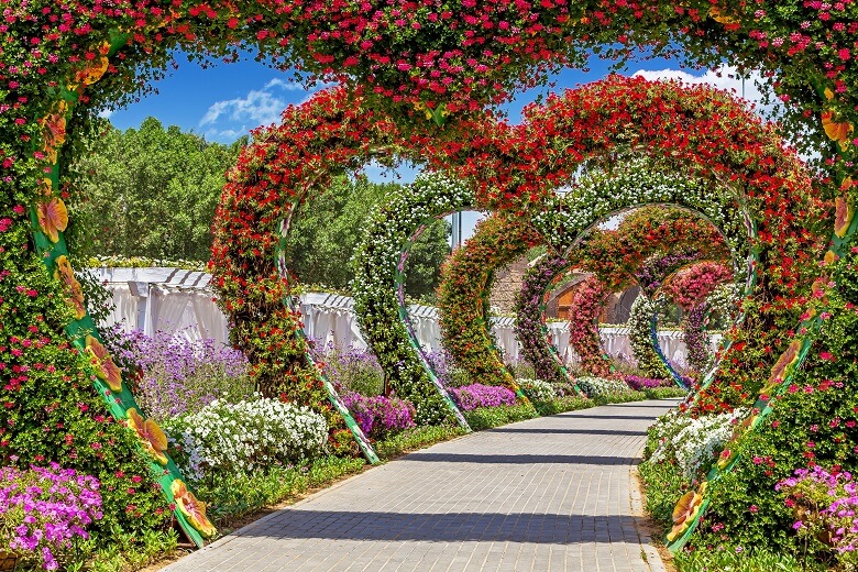 דובאי מירקל גארדן