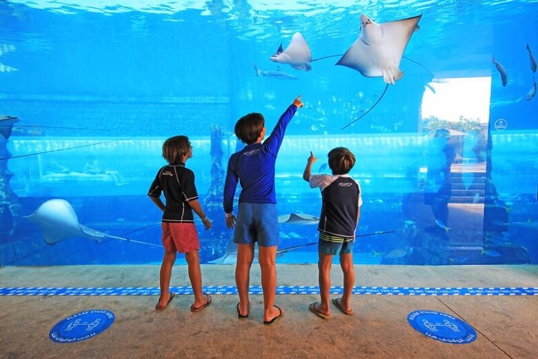 אקווריום דובאי